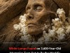 Scientists Have Identified the World’s Oldest Cheese Found on 3,600-Year-Old Mummies