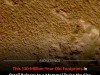 Ancient Footprints Reveal A Massive Mammal That May Have Hunted Dinosaurs