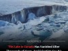 A Unique Arctic Ecosystem Has Vanished Forever After Massive Ice Shelf Collapse