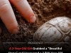 Toddler Finds 3,800-Year-Old Egyptian-Style Scarab Amulet at Biblical Azekah Site