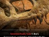 Scientists Finally Measured The Body Temperature Of A T Rex And It Is Surprisingly Human