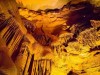 Inside Kentucky’s 426‑mile Mammoth Cave: World’s Longest Underground Giant and New Shark Fossil