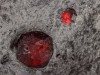 Tiny Garnet Crystals in Martian Meteorite Hint at Unexpected Metamorphic Past