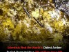 Devonian Amber Found in Chinese Coal Sets Record as Oldest Known Resin