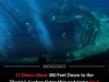 Divers Recover Rare Artifacts From The Sunken Wreck Of Titanic’s Sister Ship