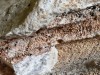 Archaeologists Discovered a Dye Worth More Than Gold Inside 1,700-Year-Old Tombs